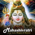 Mahashivratri - Top Aartis, Bhajans & Mantras - Ram Kumar Lakha Song Download